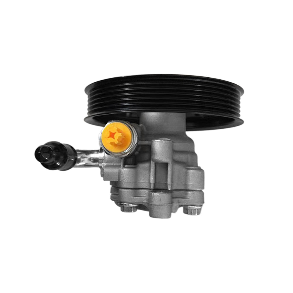 Power steering pump for Holden Commodore VE VZ 6.0L V8